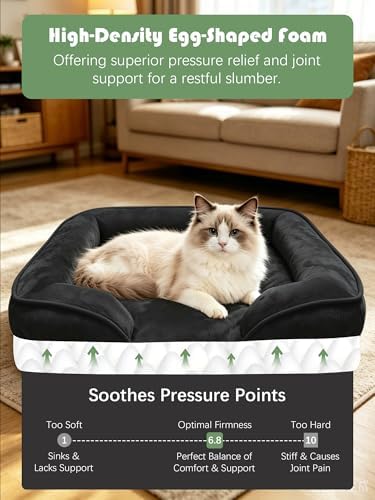 Spotted Play Orthopedic Dog Bed with Sides - Sofa Beds for Small Dogs, Supportive Foam Pet Couch Bed with Washable Removable Cover, Waterproof Lining and Non-Slip Bottom, Black - S - Image 4