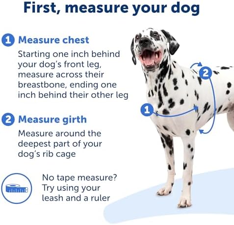 PetSafe Easy Walk Harness for Dogs - Pull-Free Walks - Patented Martingale LoopDesign-Front Chest Leash Attachment - Comfort Straps-Breathable Harness Design-Small,Charcoal/Black (Pack of 3) - Image 4