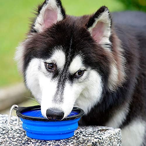 Kytely Large Collapsible Dog Bowls 2 Pack, 34oz Foldable Dog Travel Bowl - Image 6