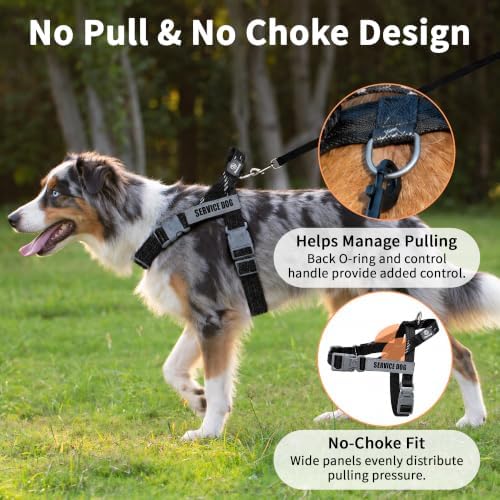 No Pull Dog Harness and Leash Set, Australian Dog Harness, Service Dog Harness with Handle and 4 Reflective Patches, Adjustable Training Vest for Small, Medium and Large Dogs (Black,S) - Image 2