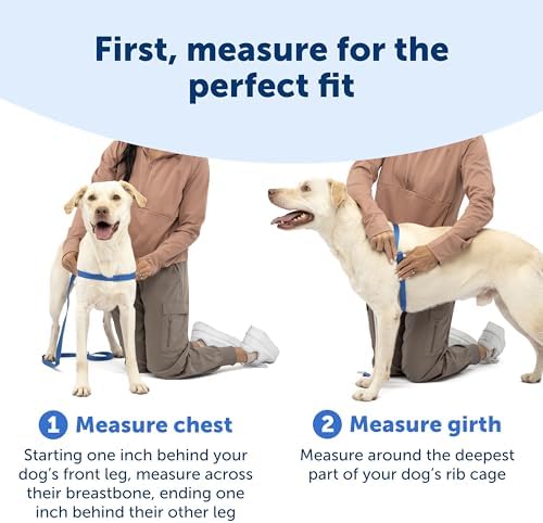 PetSafe Easy Walk Harness for Dogs - Pull-Free Walks - Patented Martingale Loop Design - Front Chest Leash Attachment - Comfort Straps - Breathable Harness Design - Medium, Red/Black - Image 5