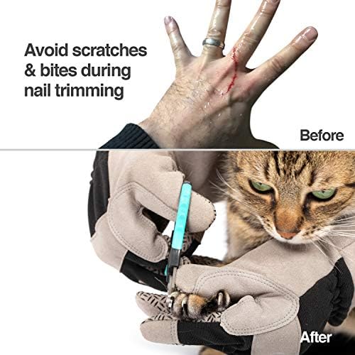 PetFusion Unisex Multi-purpose Pet Glove - Image 3