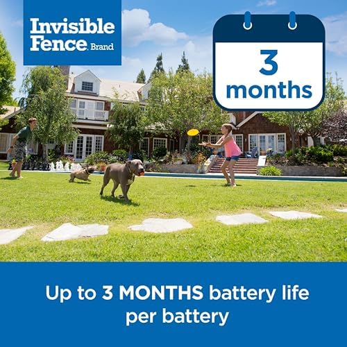 Invisible Fence Brand Power Cap Battery, 1-Pack - Image 4