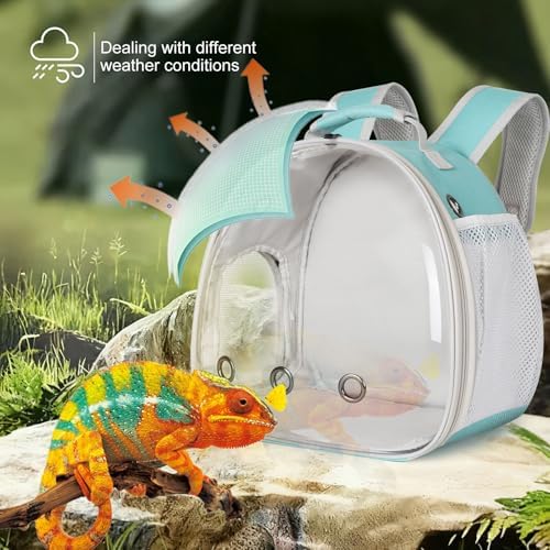Guinea Pig Backpack Carrier, Bearded Dragon Carrier Backpack with Clear Bubble Window,Small Animal Travel Backpack for Hedgehog Rat，Chameleon,Rabbit,Sugar Glider,Airline Approved (Green, Backpack) - Image 4
