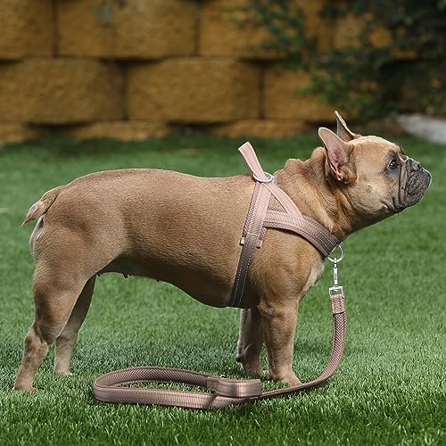 Plutus Pet No Pull Dog Harness with Front Clip, Breathable Mesh Padded - Image 5