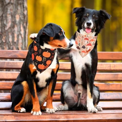 PTDECOR Black Fall Dog Bandana, Pumpkin Mushroom Design Dog Scarf, X-Large - Image 2