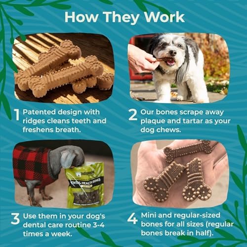 Indigenous Pet Dental Health Bones - Original Fresh Breath, 2-Pack (17 oz Each) - Image 5