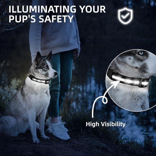 Super Bright LED Dog Collar, Waterproof Light up Collars(White, Medium) - Image 3