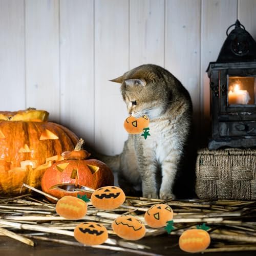 6pcs Halloween Pumpkin Catnip Toy，Hallowen Indoor Pumpkin Shaped Cat Toy Plush Interactive Chew Bite Toys for Cat Kitten Indoor Festive Holiday Cat Lover Gift - Image 7
