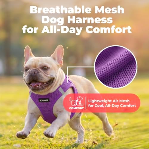 Voyager Step-in Air Dog Vest Harness - Purple, X-Large - Image 5