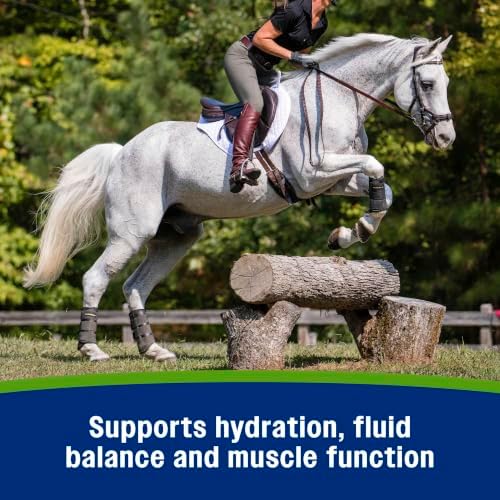 Farnam Apple Elite Horse Electrolytes Powder Supplement, 160 Day Supply - Image 5