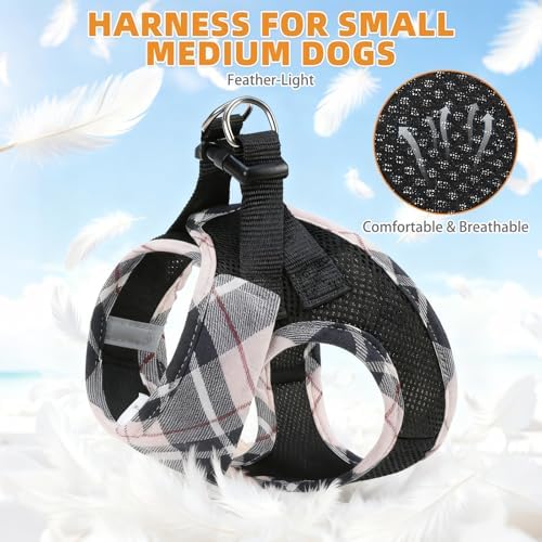 KOOLTAIL Small Dog Harness and Leash Set, Cute Puppy Harness, Step in No Pull Soft Mesh Pet Vest Harness Collar for Small Size Dogs Cats Boy Girl, Plaid Dog Halters for Outdoor Walking, Beige S - Image 3