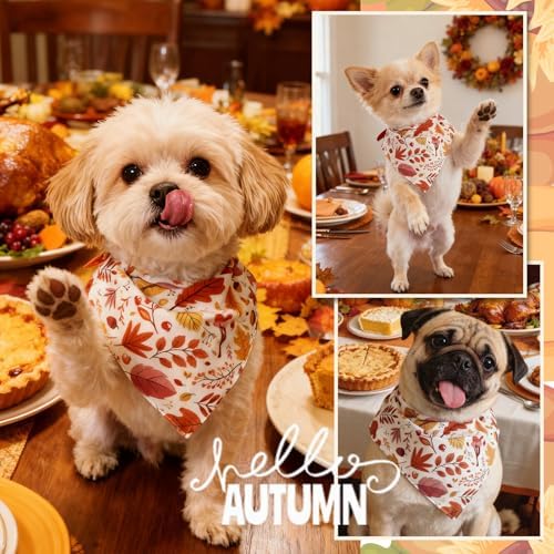 Fall Dog Bandana Colorful Autumn Leaf Scraf, 30-75lbs Large Pets - Image 5