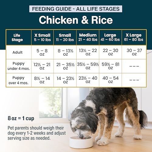 JustFoodForDogs Pantry Fresh Wet Dog Food,Complete Meal or Dog Food Topper,Chicken & White Rice Human Grade-Dog-Food Recipe - 12.5 oz,(Pack of 24) - Image 6