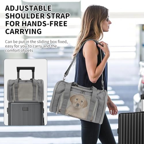 Carriers Soft-Sided Large Pet Carrier for Cats Dogs Small Animals Up to 35Lbs,Top Load Carrier,Ventilated Design,Portable Cat Carrier Airline Approved(X-Large, Grey) - Image 6