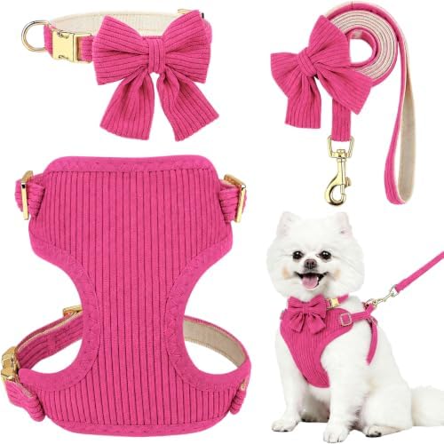 Small Dog Collar Harness and Leash Set with Bowtie, Adjustable Dog Harness Collar and Leash Set with Secure Metal Buckle, Breathable Cotton Adjustable Pet Puppy Harness, Easy Walk Harness, M(16-21") by Unknown