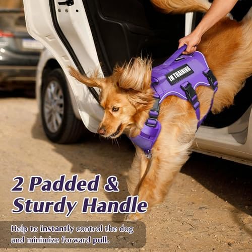 WINSEE Escape Proof Dog Harness with Double Handle+4 Removable Patches - Image 3