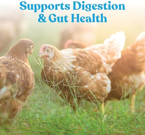 Manna Pro Hydro-Hen Poultry Electrolyte, Digestive & Probiotic, 8 oz - Image 3
