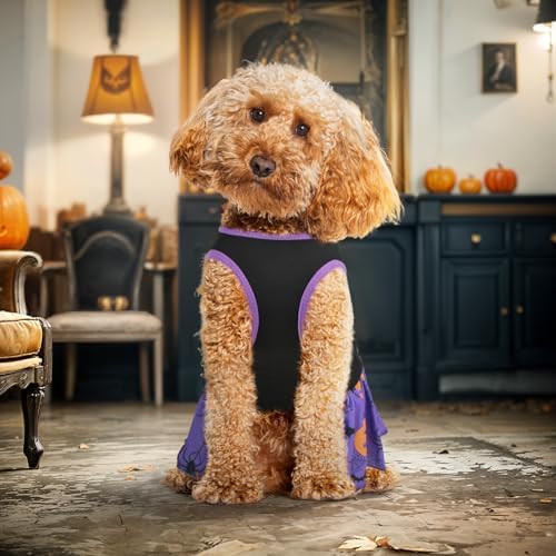 2-Pack Halloween Dog Dress Pet Dresses Skirts with Spider Pumpkin Patterns for Puppies Cats Dog Halloween Costume Outfit Apparel Clothes for Small Medium Dogs Kittens L - Image 4