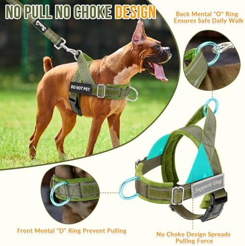 SlowTon No Pull Dog Harness and Leash Set - Heavy Duty, Soft Padded - Image 2