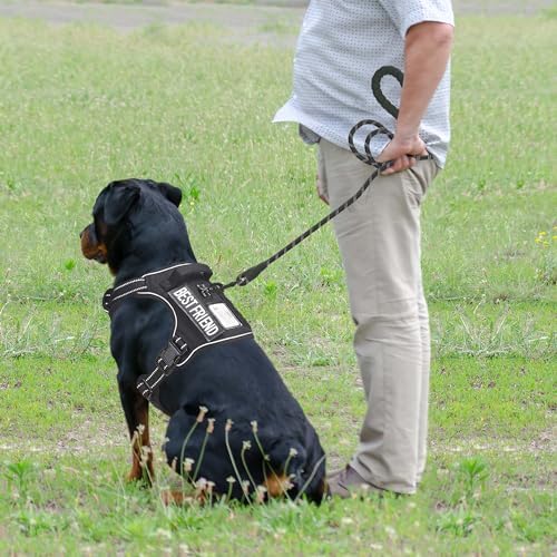 Beebiepet Tactical No Pull Dog Harness with Leash, X-Large, Black - Image 3