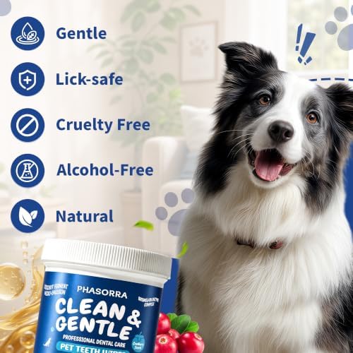 Dog Teeth Cleaning Wipes, Finger Toothbrush Brushing kit Wipes - Image 7