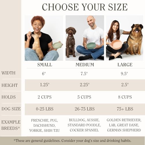 The Perfect Dish - Silicone Dog Bowl for Food & Water, 7.5"x2.25"-Spruce - Image 6