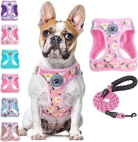 BEAUTYZOO Large Dog Harness and Leash Set,No Pull Puppy Pet Vest - Floral,L by BEAUTYZOO