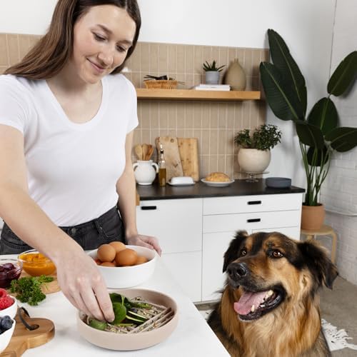 Slow Feeder Dog Bowl - Silicone Dog Bowl, Medium, 7.5" x 1.5" - Sand - Image 6