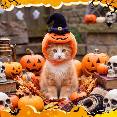 Abbylike 6 Pcs Halloween Pumpkin Costume for Cat, Small Dog - Image 7
