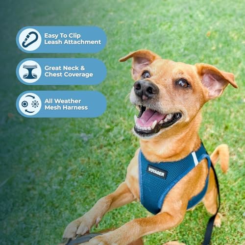 Best Pet Supplies Voyager Step-in Air All Weather Mesh Harness and Reflective Dog 5ft Leash Combo with Neoprene Handle, for Small, Medium and Large Breed Puppies - Turquoise, Medium - Image 5