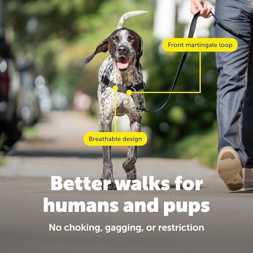 PetSafe Easy Walk Harness, No Pull Dog Harness, Fawn, Medium - Image 4