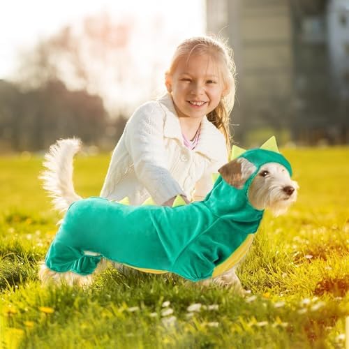 Hotumn Dinosaur Dog Halloween Costume Pet Dino Hoodie for Large Dogs (XXXX-Large, Green) - Image 6