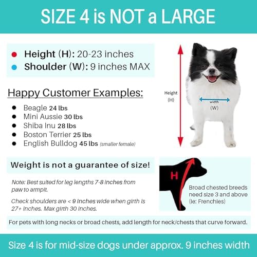 Pandaloon Dog Halloween Costume - As Seen on Shark Tank - Patented - Funny Costume with Arms for Small and Medium Dogs and Cats (Teddy Bear, Size 4(20-23 in Height at TOP of Head,Girth<27 in)) - Image 4