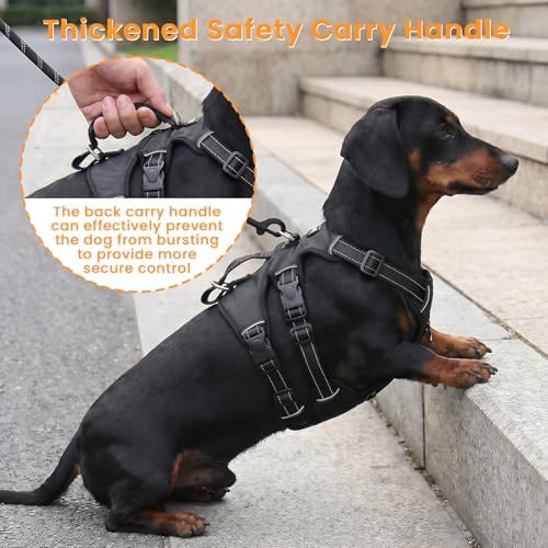 Escape Proof Dog Harness and Leash Set,Soft Padded Full Body Pet Harness, No Pull Reflective Adjustable Dog Vest with Handle, Easy Control Dog Harness for Medium Large Dogs Training Walking Running - Image 3