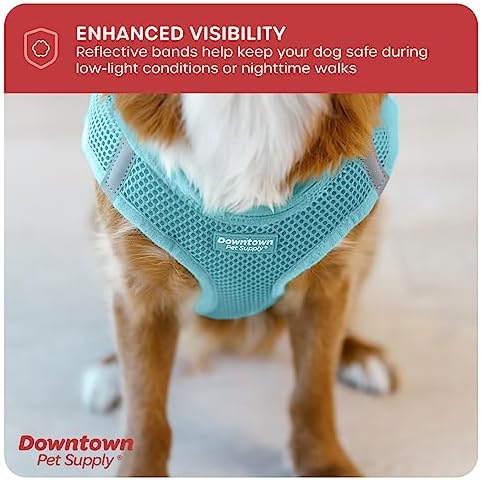 Downtown Pet Supply Step-in Dog Harness – No Pull, Adjustable Padded Mesh with Reflective Trim, Secure Buckle Strap – Comfortable & Breathable Small Dog Harness, XX-Small, Light Blue - Image 7