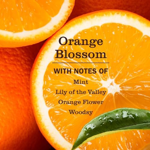MRS. MEYER'S CLEAN DAY Pet Multi-Surface Cleaner, Orange Blossom, 16 fl oz - Image 3