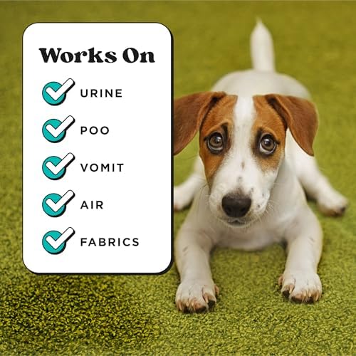 Pet-Pourri Pocket Deodorizer Spray, Pawsitively Fresh, 1 Fl Oz - Image 7