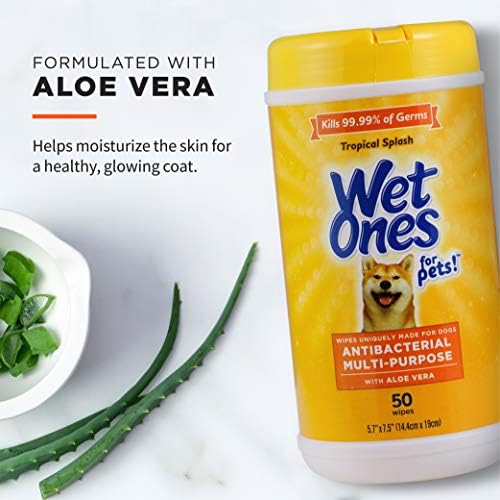 Wet Ones for Pets Antibacterial Dog Wipes, Tropical Splash, 50 Count, 12-Pk - Image 4