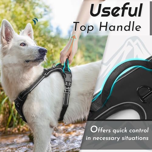 Eagloo Dog Harness for Large Dogs, No Pull Pet Vest with 2 Leash Clips - Image 4