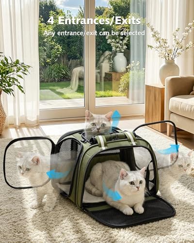 Pecute Cat Carrier,Double Bubble Pet Carrier for Cat Small Dogs,Green,M - Image 2