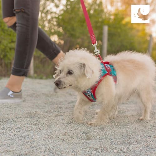 RC Pets Step in Cirque Harness L Dark Teal - Image 7
