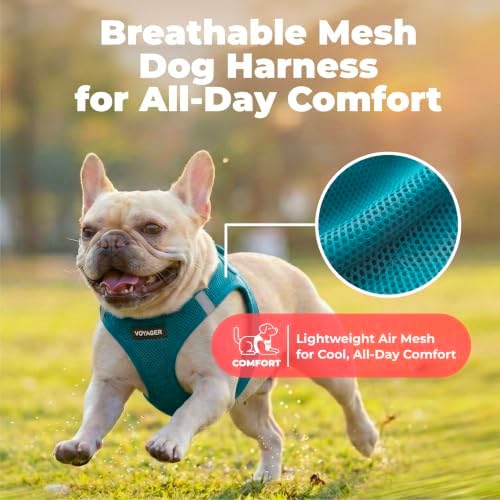Voyager Step-in Air Dog Vest Harness - Turquoise, X-Small - Image 5