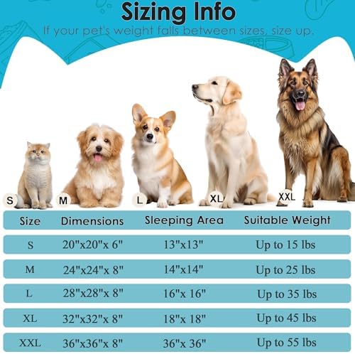 Hoewina Dog & Cat Bed, 20in Cat Beds for Indoor Cats (Light Blue) - Image 2