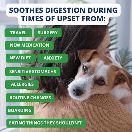 Under the Weather Bland Diet for Dogs | Easy to Digest for Sick Dogs |Always Be Ready| Contains Electrolytes - Natural Freeze Dried 100% Human Grade Meats| 2 Pack- Rice, Hamburger & Sweet Potato - 6oz - Image 4