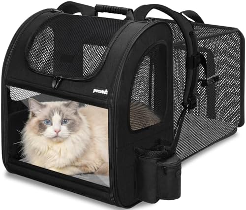 pecute Cat Backpack Expandable, Cat Carrier Backpack Acrylic Window, XL by pecute