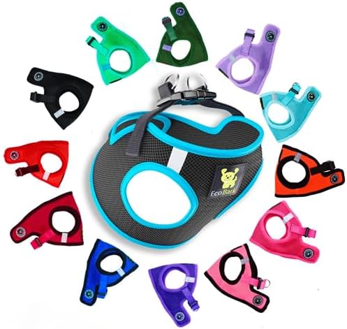 EcoBark Step in Dog Harness, Reflective No Choke Halter Vest, XXXS, Teal by EcoBark