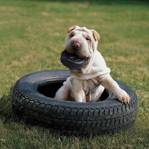 KONG Extreme Tires Natural Rubber Chew Toy, for Small Dogs - Image 4
