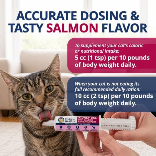 Under The Weather Pet Kidney Cal for Cats 80cc | High Calorie Cat Kidney Support Supplement with Low Phosphorus, Potassium Gluconate & Electrolytes | Vet Formulated Salmon Flavor Gel - Image 5
