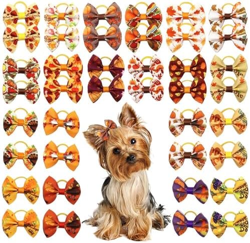 20Pcs/10 Pairs Thanksgiving Pumpkin Maples Pattern Yorkie Dog Puppy Hair Bows with Rubber Bands Hair Accessories Bow Pet Grooming Cute Pet Small Hair Bowknot (Pumpkins) by RSACCSKY
